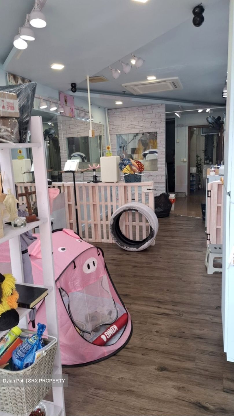 Soho Life (D15), Shop House #537920301